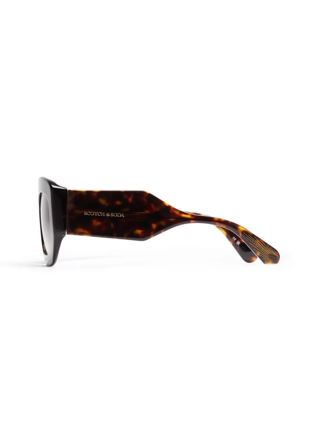 Scotch and Soda Aviv Sunglasses Tort Best Sale